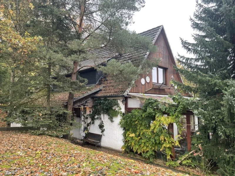 Hausansicht - Haus kaufen in Hitzacker (Elbe) - Ein- bis Zweifamilienhaus im Jagdhausstil