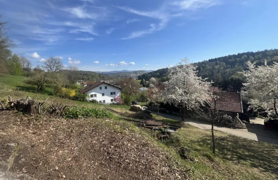  - Grundstück kaufen in Grafenau - Einzigartiges Baugrundstück mit 2.569qm &  unverbaubarem Blick in die Berge - ohne Bebauungsplan!