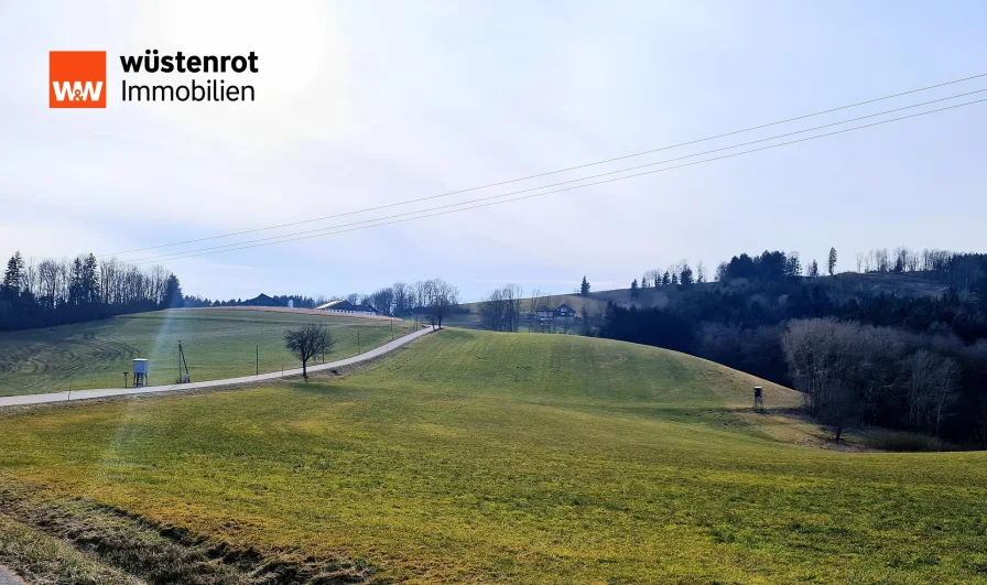 20250211_141443 - Grundstück kaufen in Neukirchen vorm Wald - 13,3 ha top landwirtschaftliche Flächen (Acker und Grünland) im Lkrs. Passau