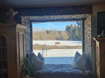 Blick aus dem Wohnzimmerfenster - Land- und Forstwirtschaft kaufen in Sankt Oswald-Riedlhütte - Traumhaftes, sonniges "Sacherl" mit 1,3 ha arrondiertem Grund, Wald und PV-Anlage, im Bayerischen Wald.