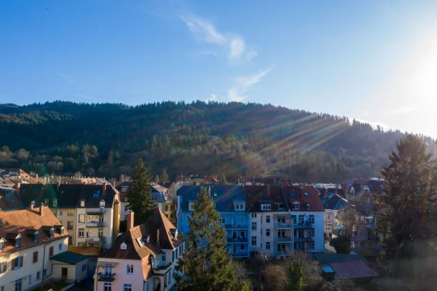 Aussicht - Wohnung kaufen in Freiburg im Breisgau / Wiehre - Junges modernes nachhaltiges Wohnen in der Wiehre!