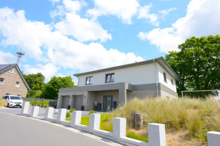 Außenansicht  - Haus kaufen in Schafstedt - Exklusive Stadtvilla mit großem Grundstück und hochwertiger Ausstattung