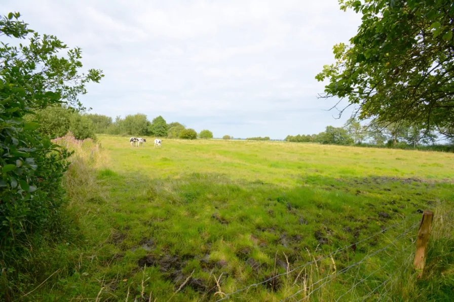 landwirtschaftliche Fläche 