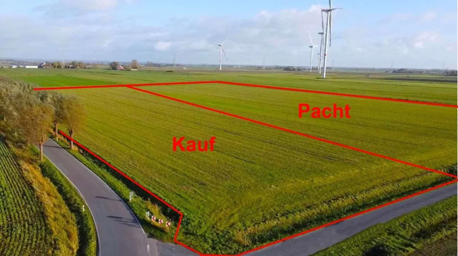 Luftbild - Land- und Forstwirtschaft kaufen in Wöhrden - 2,50 ha hochwertiges Ackerland in Wöhrden im Bieterverfahren zu verkaufen und 3,37 ha zu verpachten