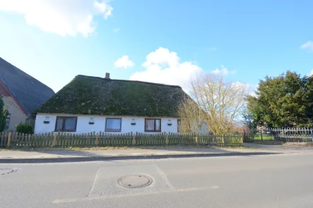 Außenansicht - Haus kaufen in Fedderingen - Historisches Reetdachhaus in Fedderingen  - Charmantes Landleben mit Potenzial