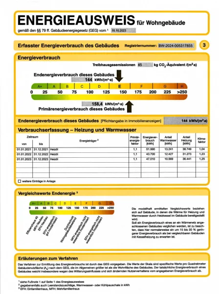 Auszug Energieausweis