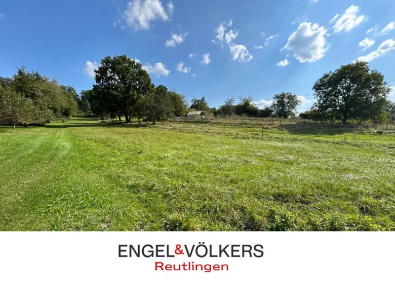 Blick auf das Grundstück - Sonstige Immobilie kaufen in Reutlingen-Sondelfingen - Erholung pur: Idyllisches Wiesengrundstück in malerischer Landschaft