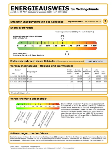 Auszug Energieausweis