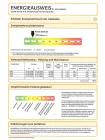Auszug Energieausweis