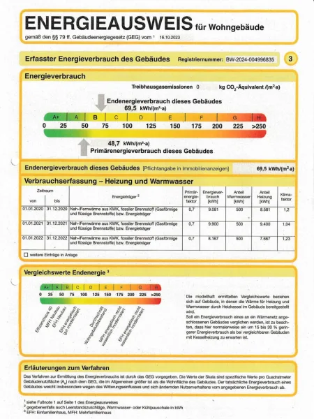 Auszug Energieausweis