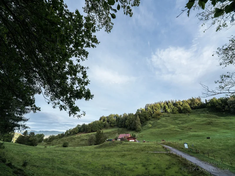 Alpe "Hinter der Schießstätte" -100m hinterm Haus