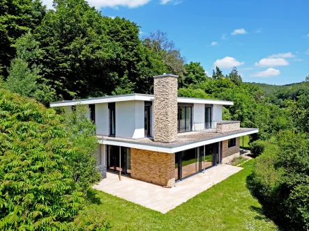 Hausansicht - Haus kaufen in Philippsthal - Eleganz am Hang: Modernes Architektenhaus in grüner Oase mit Panoramablick