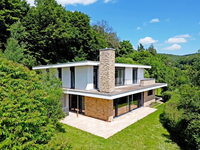 Hausansicht - Haus kaufen in Philippsthal - Eleganz am Hang: Modernes Architektenhaus in grüner Oase mit Panoramablick