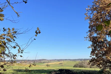  - Grundstück kaufen in Berg - Großes Baugrundstück in schöner Lage von Aufkirchen