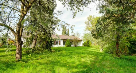  - Haus kaufen in Berg - Bungalow mit Potential auf großem Grundstück in Aufkirchen