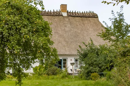  - Haus kaufen in Brodersby - Rarität in direkter Schleilage mit viel Potenzial