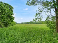 Blick über die Hausweide