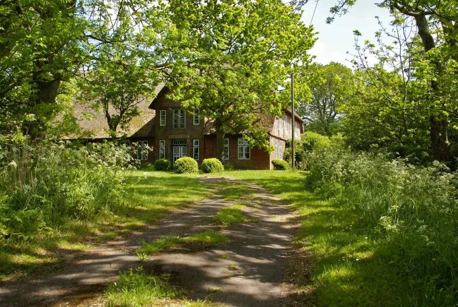  - Haus kaufen in Kirchspiel Garding - Timonshof - Sommer auf dem Land