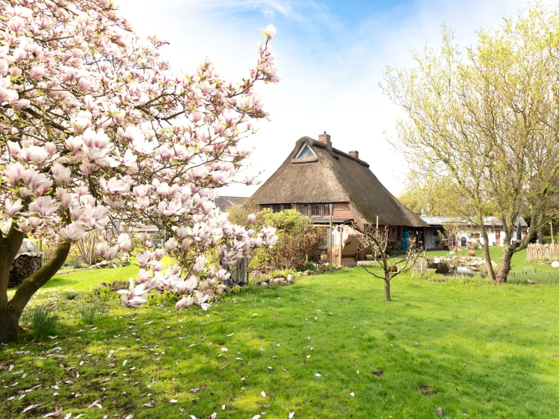  - Haus kaufen in Oldendorf - Landlust - Zuhause unter Reet