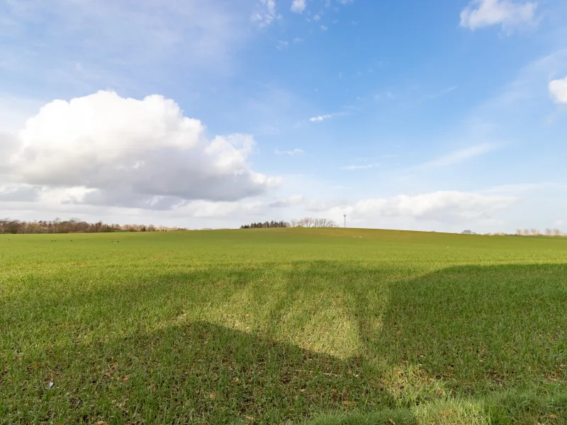 Blick über die Felder