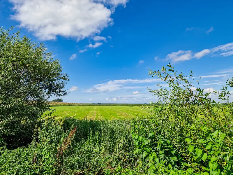 Ausblick Richtung Norden