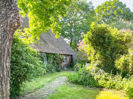  - Haus kaufen in Elsdorf-Westermühlen - Charmante historische Reetdachkate mit großer Ausbaureserve und altem Baumbestand