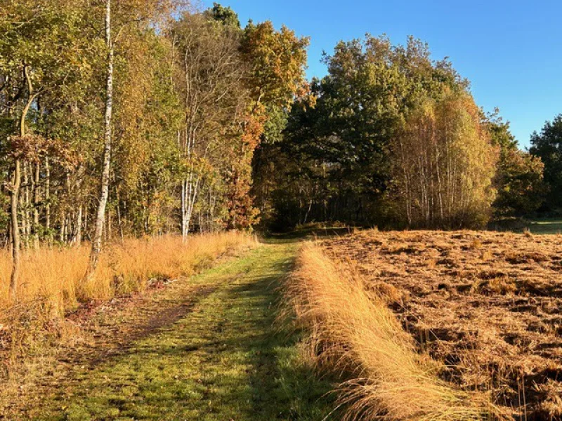 Impressionen von der Umgebung