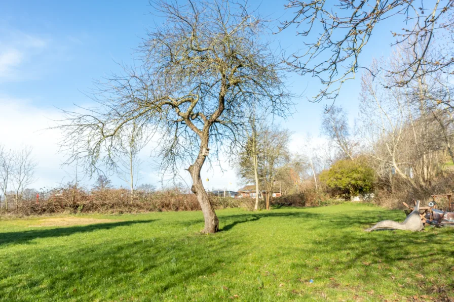 Garten mit Baumbestand