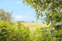 Ausblick aus dem Obergeschoss