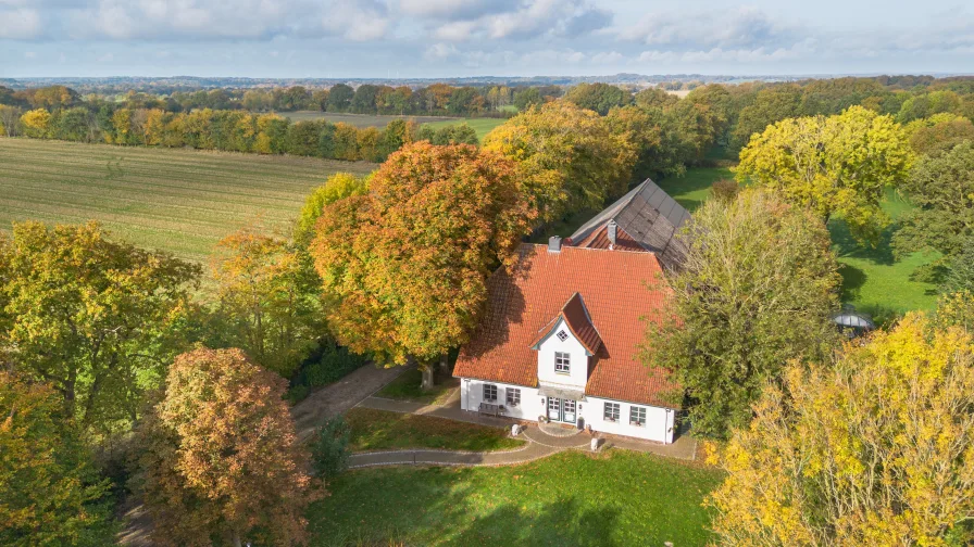 Luftaufnahme - Haus kaufen in Süderdorf - Repräsentativer Landsitz mit Hauskoppel und Stallbereich