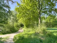 Hinter dem Haus führen Spazierwege zum Westensee