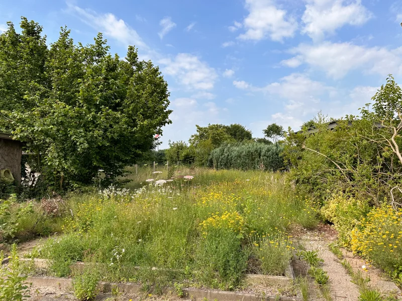 Terrassen geplant zum Süden