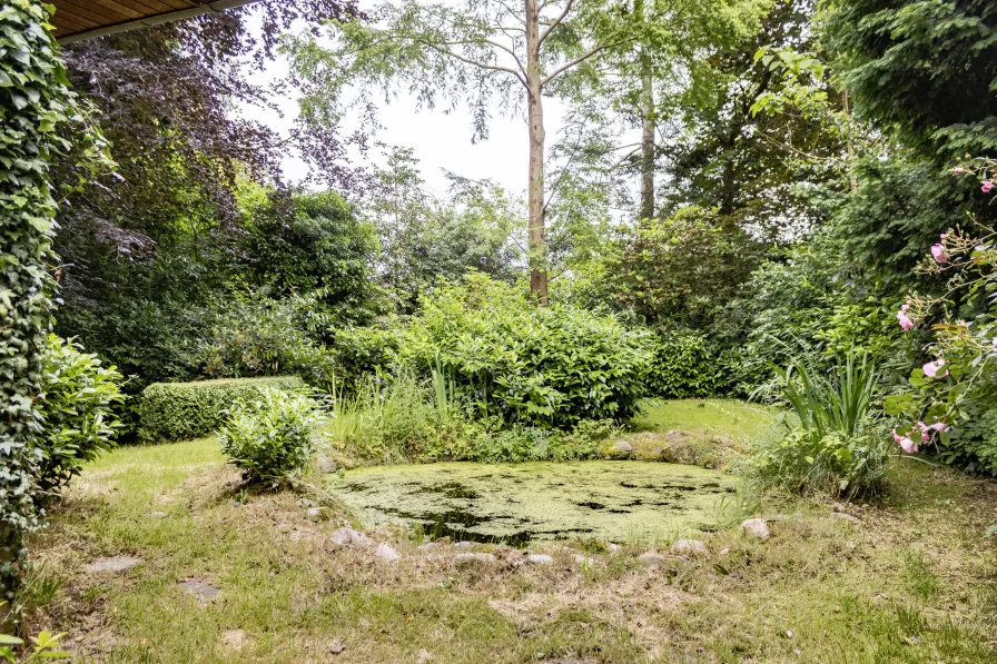 Blick in den Garten mit angelegten Teich