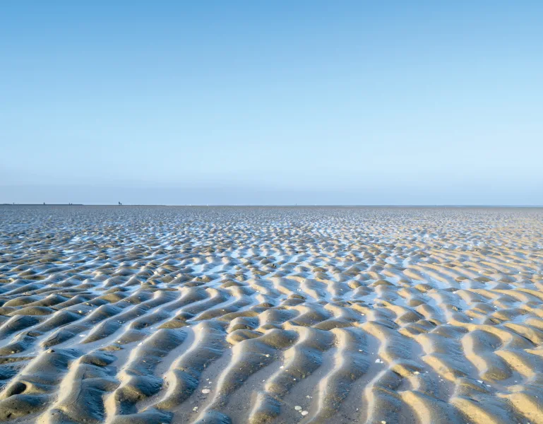 Das Wattenmeer vor der Tür