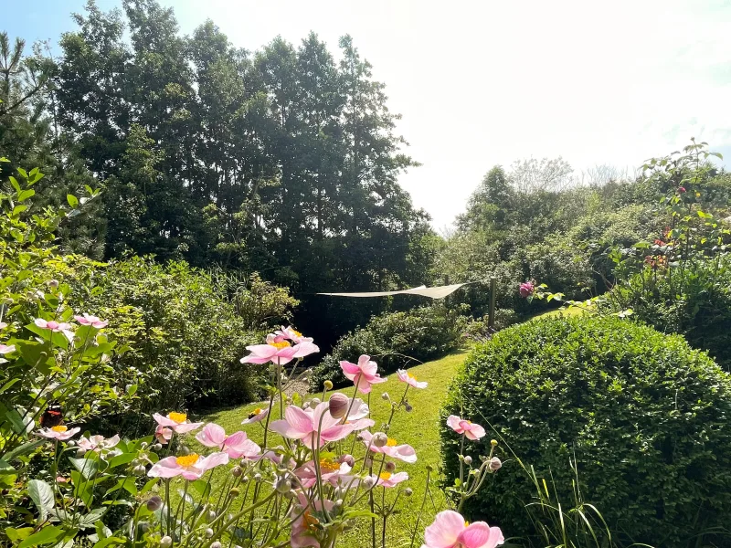 Blick in den Garten