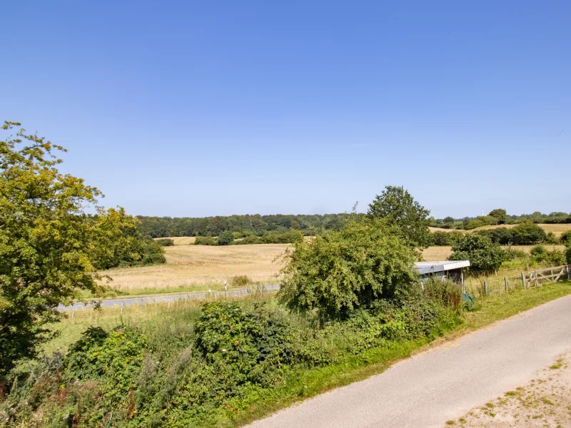 Ausblick Panoramafenster