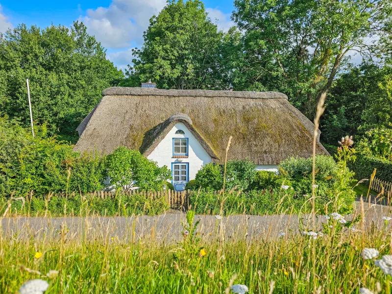  - Haus kaufen in Tönning ot. Olversum - Ein Ruhepol im Grünen                                                                                                             Historische Fischerkate am Eiderdeich