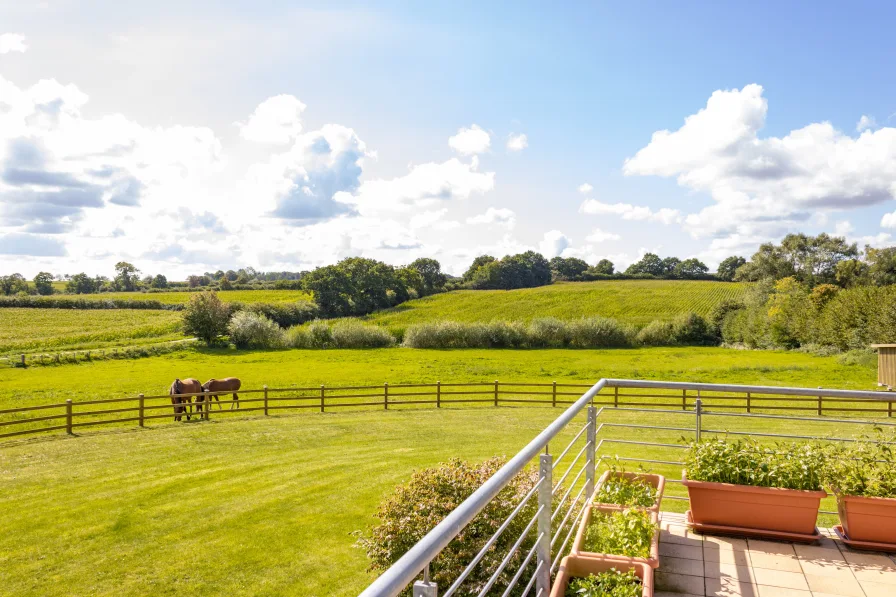 Ausblick vom Balkon