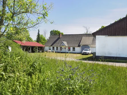  - Haus kaufen in Handewitt - Resthof in Alleinlage am Meyner Mühlenstrom                                                          lassen Sie Ihrer Kreativität freien Lauf