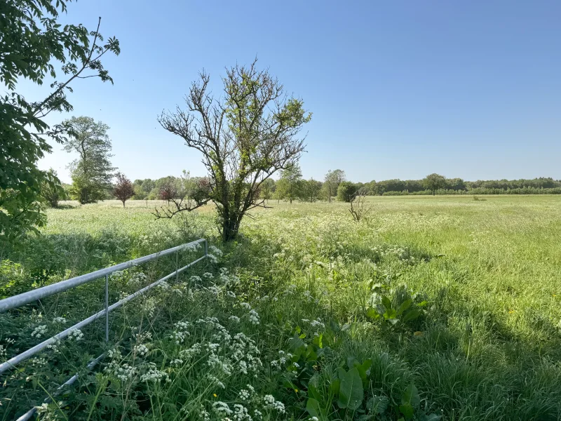 Blick aufs Eigenland - Haus kaufen in Krumstedt - Landpartie | Alleinlage Bauernhaus mit ca. 6 Hektar Land