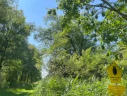 Naturschutzgebiet am Elbdeich