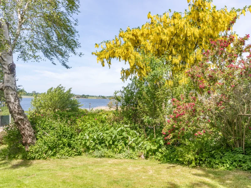 Garten mit Schleiblick