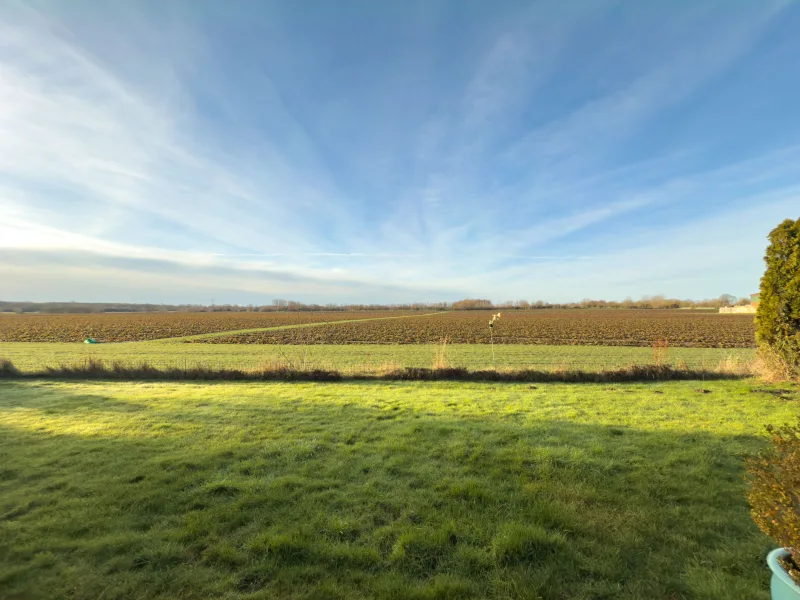 Blick auf die Lenster Felder