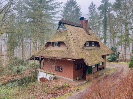 Seitenansicht - Haus kaufen in Lehmrade - Reetdach-Landhaus am Drüsensee                              mit eigenem Wald