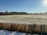 Feldrandlage rückseitig