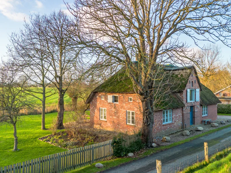  - Haus kaufen in Oldenswort - - Deichherz 1869 -                                                                                                                                                           Modern sanierte Friesenkate an der Eider