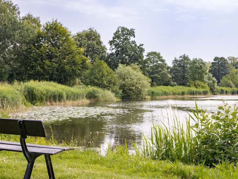 Blick auf den Mühlenteich