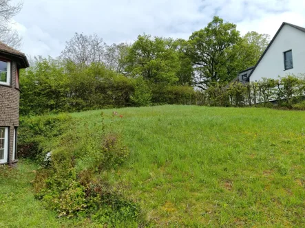 Blick von Süden - Grundstück kaufen in Leonberg - Traumgrundstück direkt am Park in Sackgasse