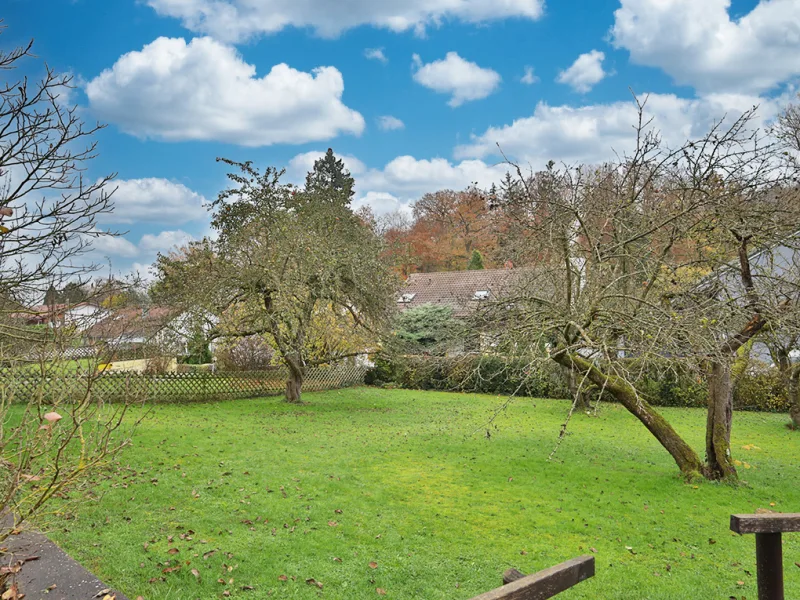 Alter Obstbaumbestand in dem gepflegten, großen Garten