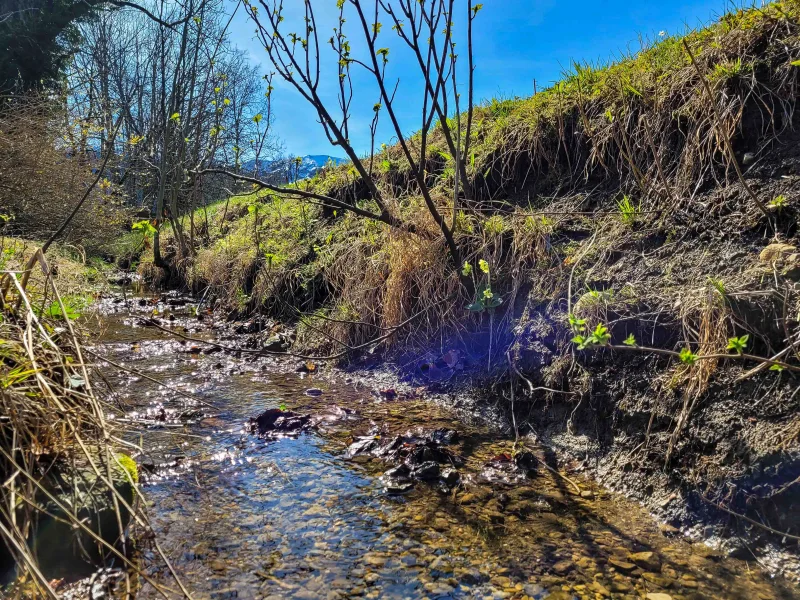 idyllischer kleiner Bachlauf an der östlichen Grundstücksgrenze